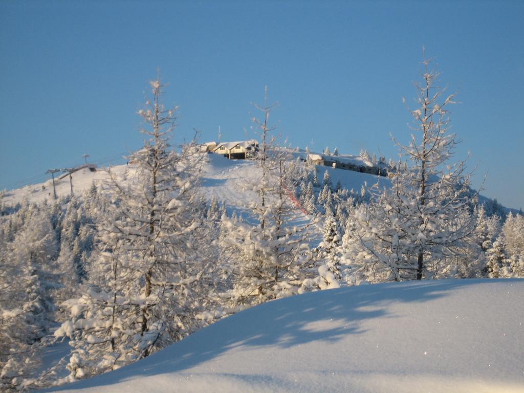 Rifugio Verenetta Casere Verena Экстерьер фото